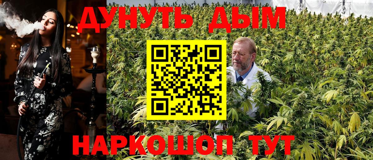 Бошки Шишки гибрид  Вход с VPN  МАРИХУАНА план  Бошки Шишки тримм  Новошахтинск  Канабис тримм 